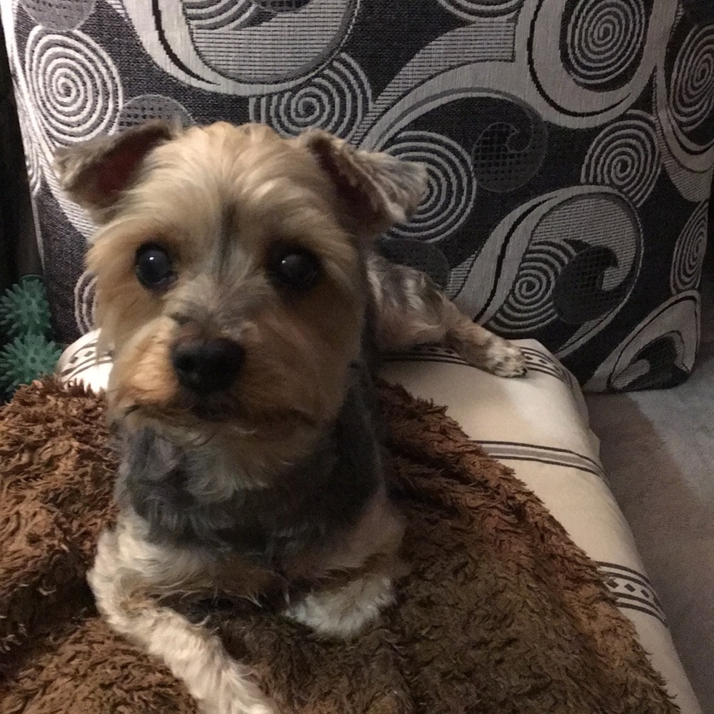 Meet your Posher, Valentina